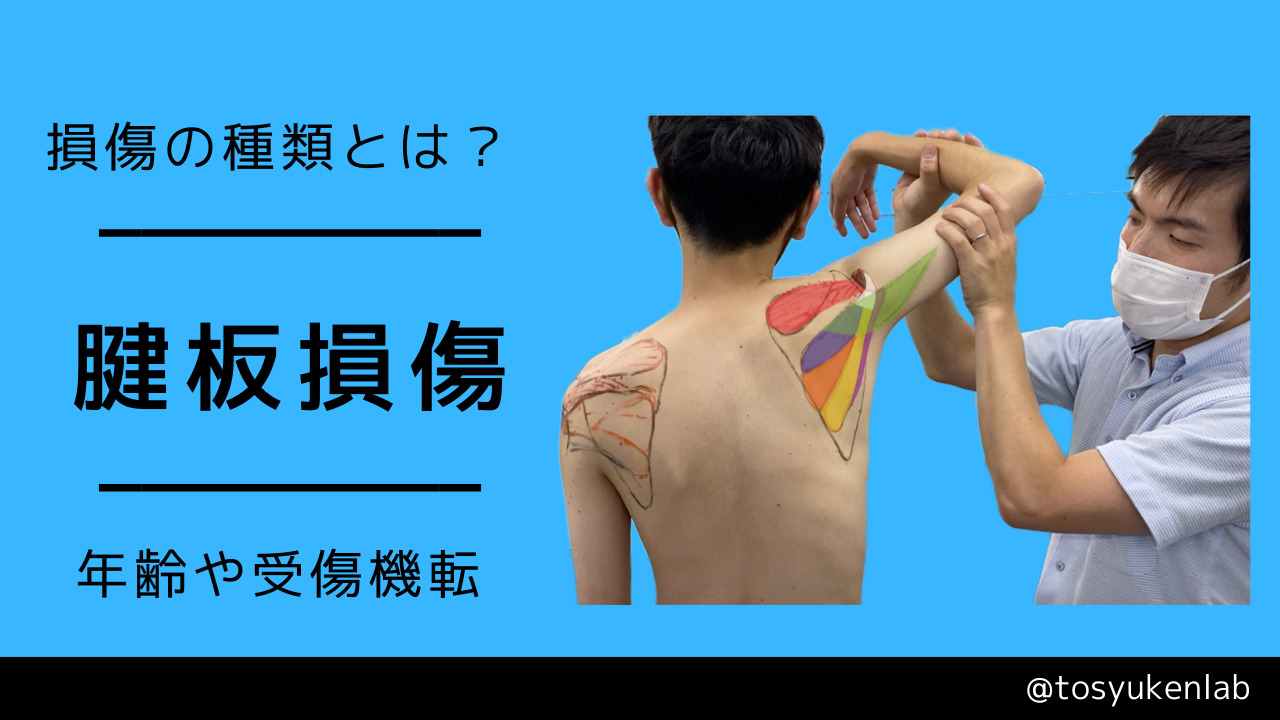 腱板損傷論文 – 腱板損傷 自主トレ – MSUOIB