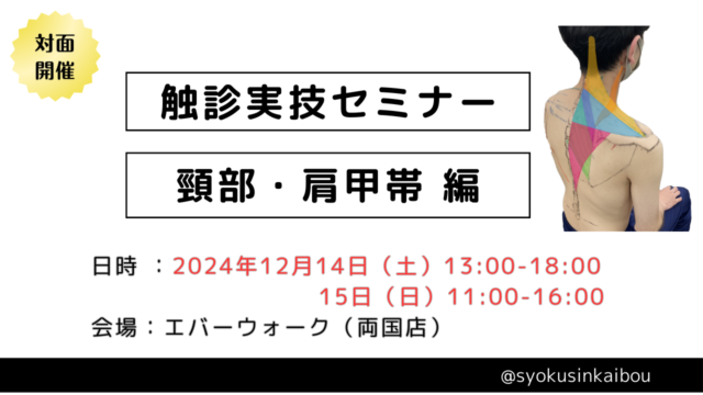 触診実技セミナー 東京 頸部 肩甲帯