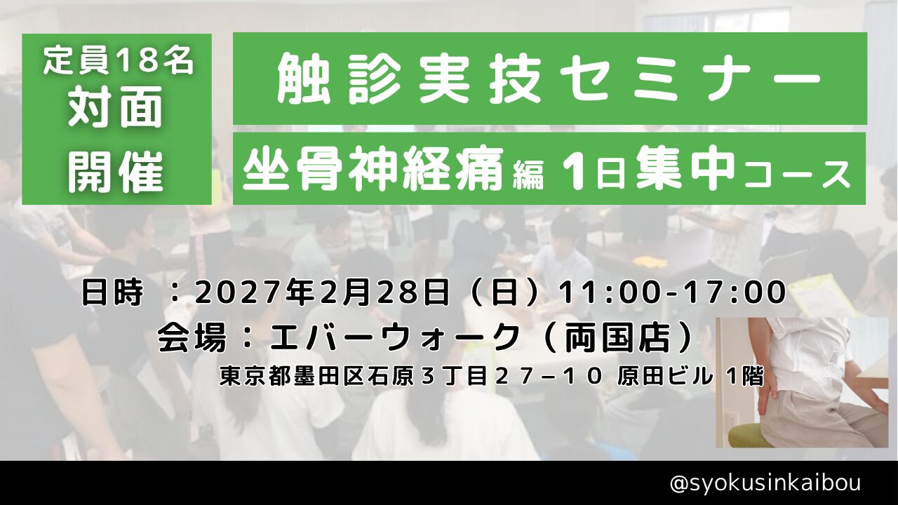 触診実技セミナー